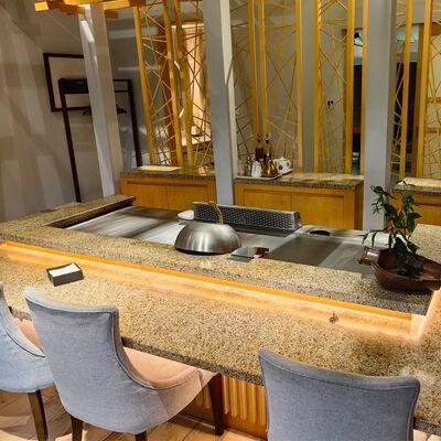 Mesa de Grelha Teppanyaki comercial com aço de liga de qualidade alimentar e aquecimento elétrico / a gás em 1200 * 850 * 800mm Tamanho