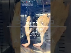 Vento quente Multi Display Grill Grill Pato de frango e carneiro Roaster Forno